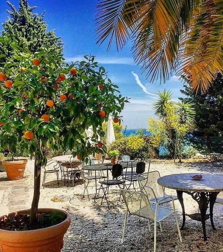سيرولو Le Due Palme Bed & Breakfast المظهر الخارجي الصورة